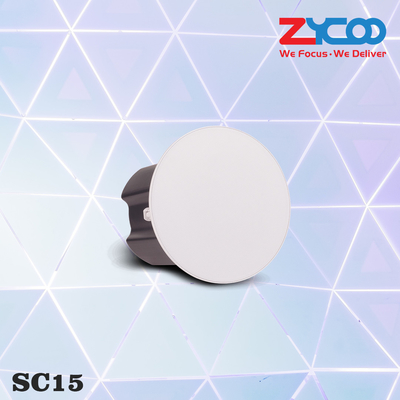 85dB/1m/1W Poe Altoparlanti da soffitto Colore bianco Acustica Mono
