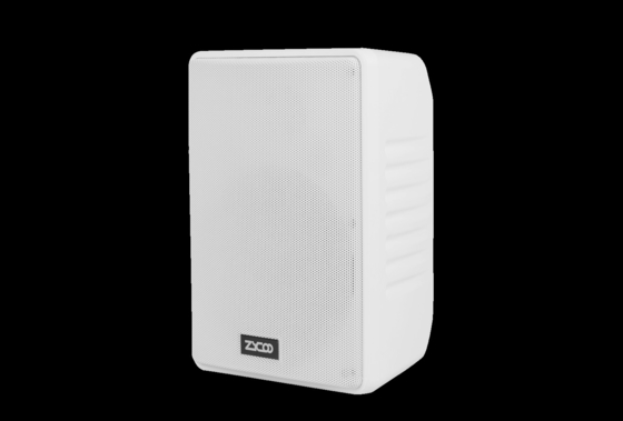 Altoparlante per cabinet da 15 W Altoparlante per cercapersone SIP abilitato montato a parete